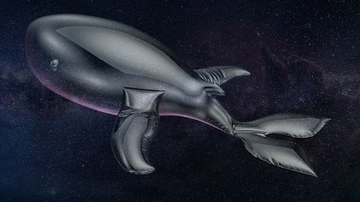 Whale universe swimming Render Renderings vray