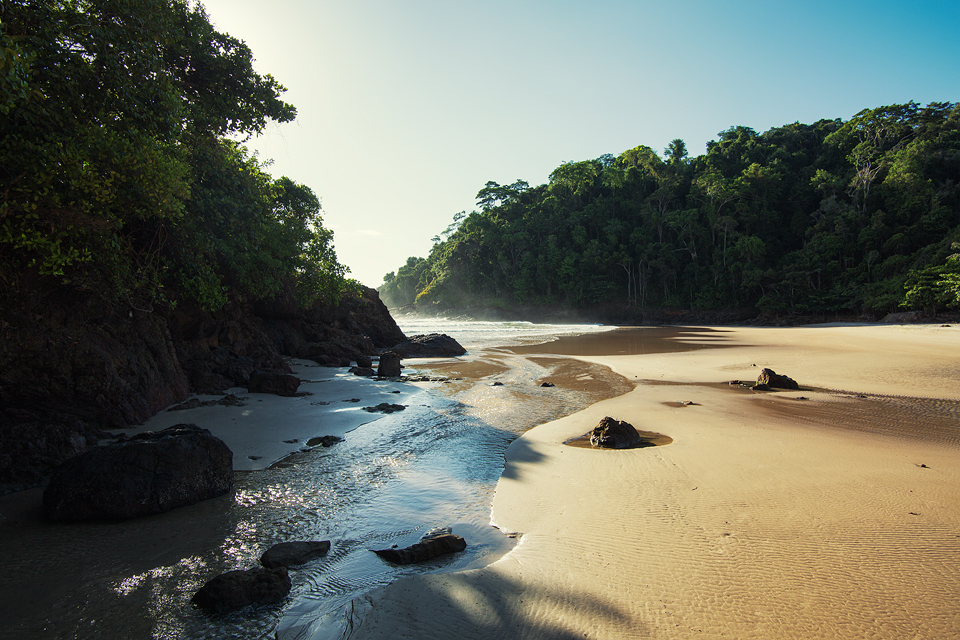 Brazil Brasil tropic forest rain Coast beach Sun warm summer south america Landscape water Ocean