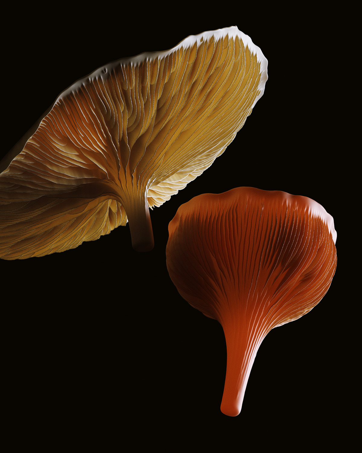 3D Digital Art  Flora Fungi generative houdini mushroom organic Procedural redshift