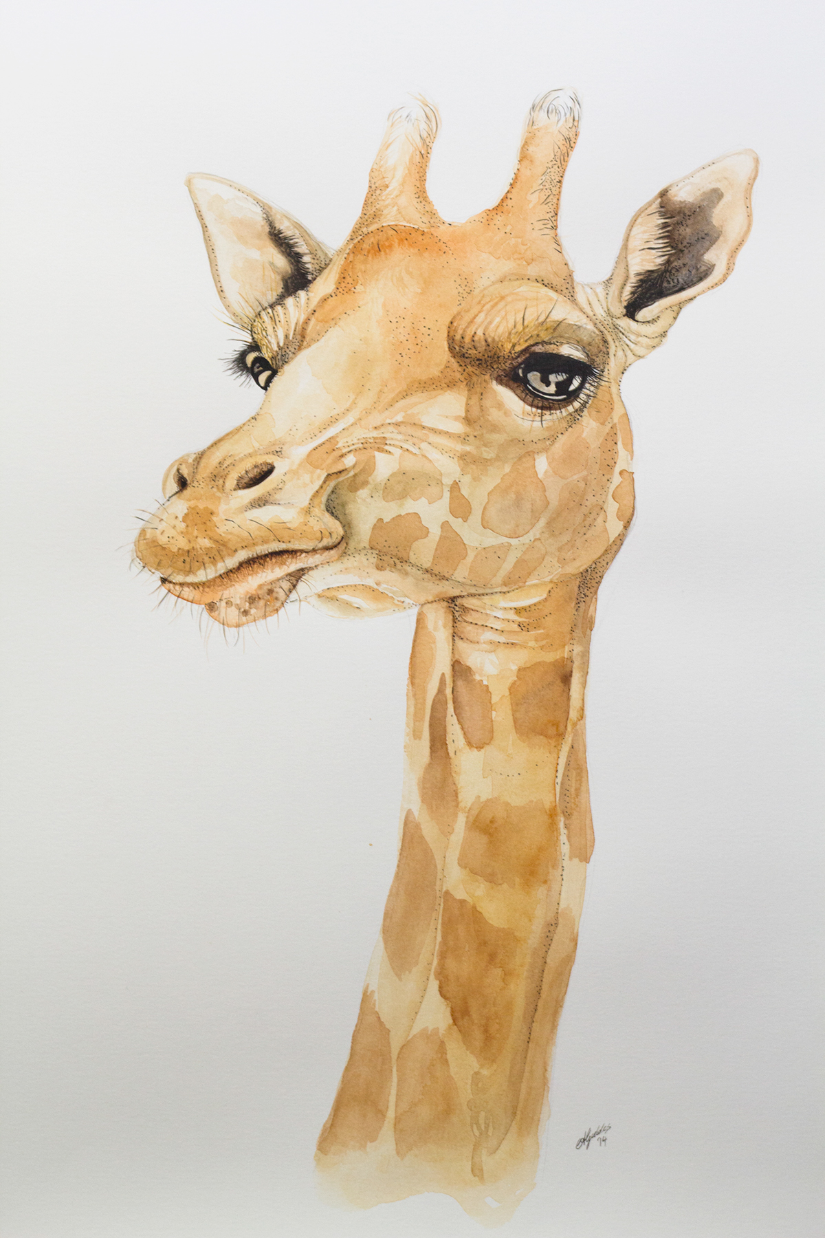 watercolour ink mixed media giraffe zoo animal art watercolor