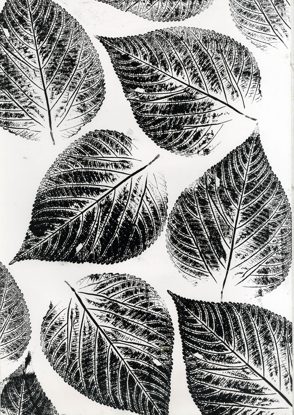 ink roller print leaf gift offset ink
