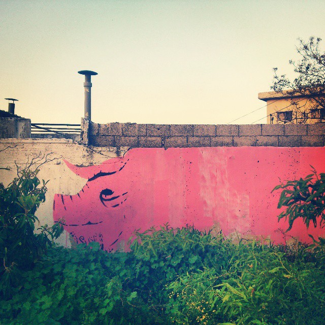 Drippy Pig pigs animals SardineArt Mike V. Derderian sardine walls Street art pink fada_317 space_317 wall paint posters
