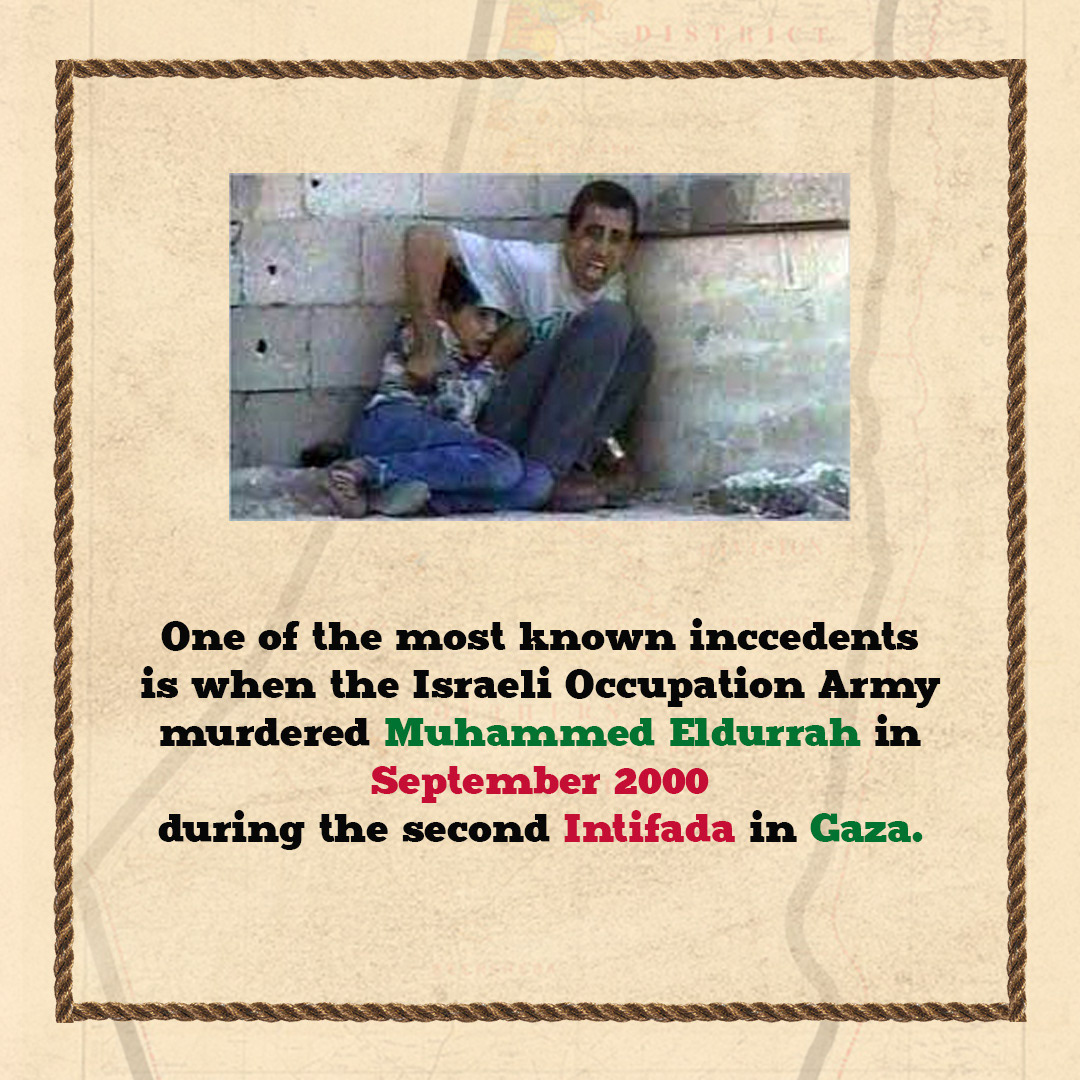 palestine israel gaza War