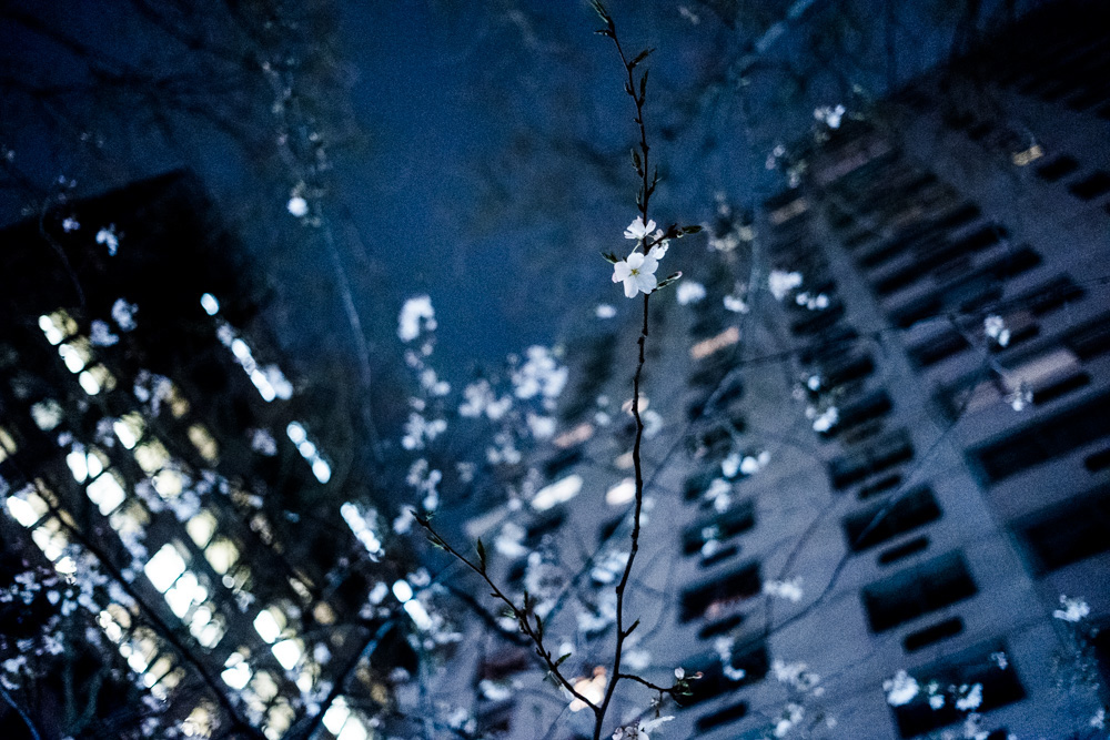 winter new york city New York usa street photography candid spaces rain