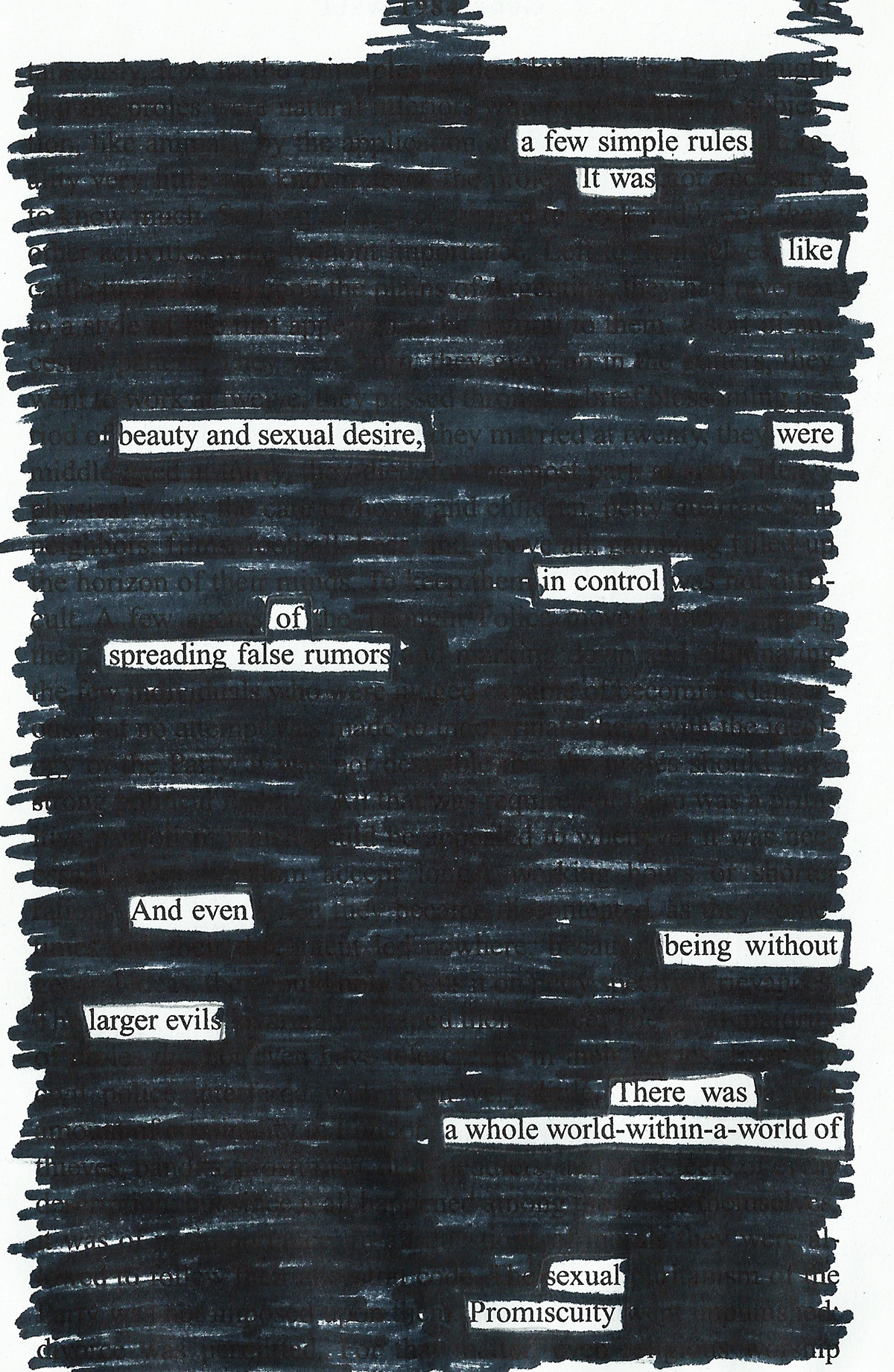 creative Poetry  hidden caitlyn Sturdevant awesome black Beautiful Unique design Picture meaningful inspiration