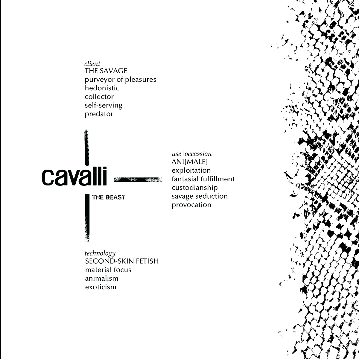 'visual communciation' 'fashion rebranding' 'roberto cavalli'