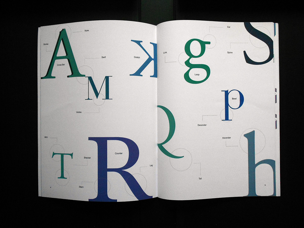 typefaces  baskerville  bodoni  rockvell
