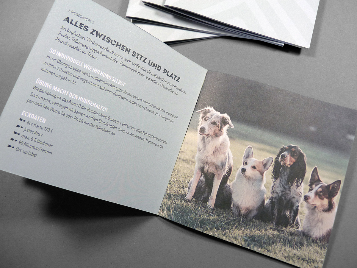 Adobe Portfolio Alsterhund Hundeschule Hundebetreuung branding  Logoentwicklung RENEWDESIGN hamburg Corporate Design