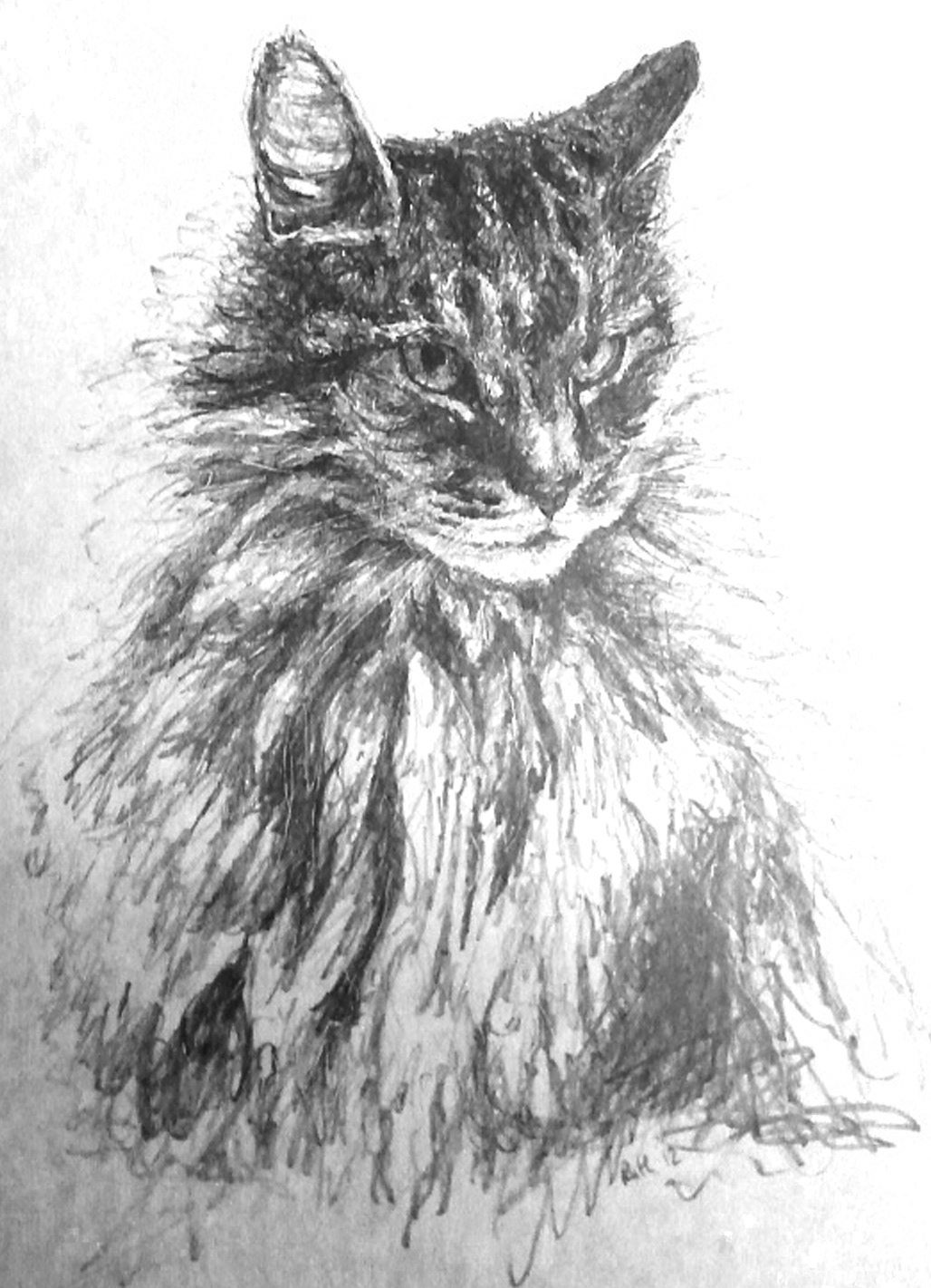 portrait children dogs cats animals pencil graphite line gift