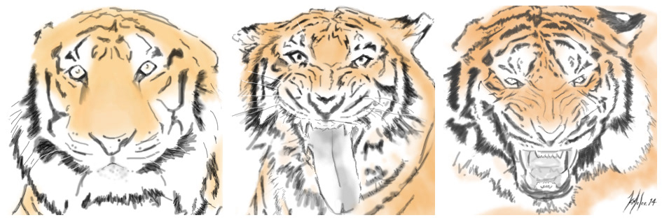 tiger wild felin art sensitisation tigre save IT predator mammal animal