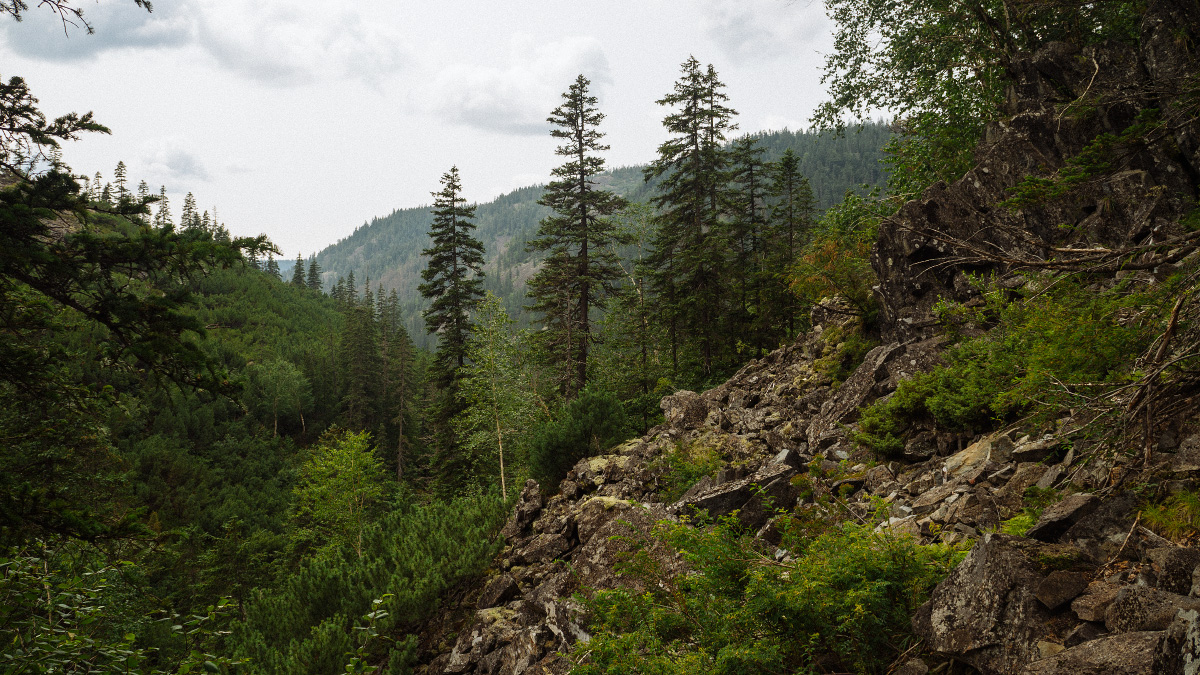 Landscape Nature Russia color SKY mountains forest river green nex5n Travel trip journey scenery