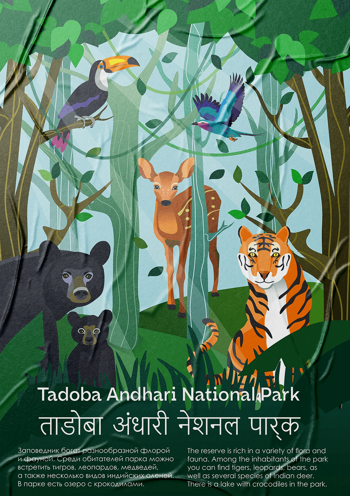 afisha art branding  graphic design  illustrations India Nature poster
