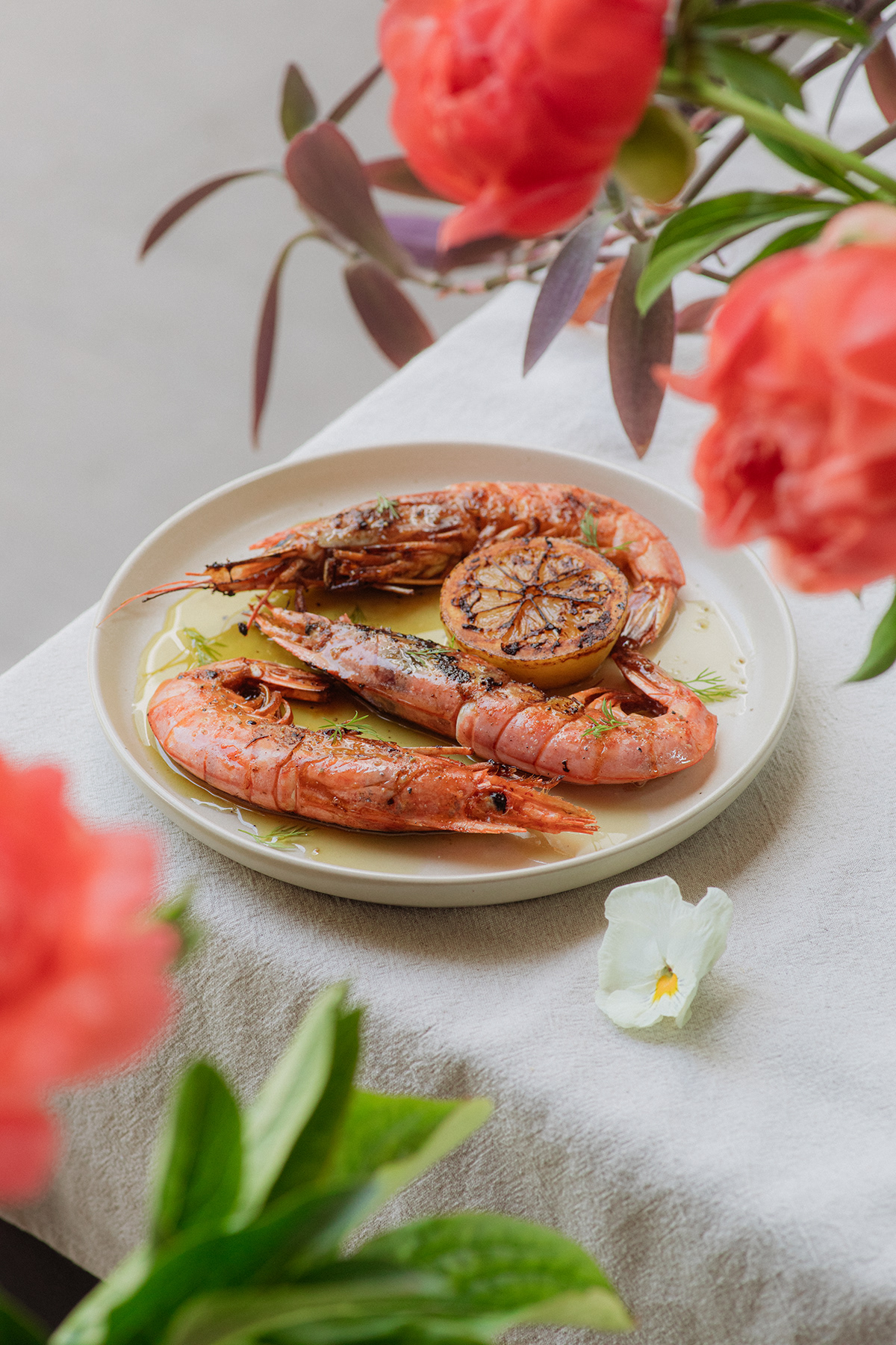 campaign colorful flower Food  mariscos Photography  sea seashell shrimp spring