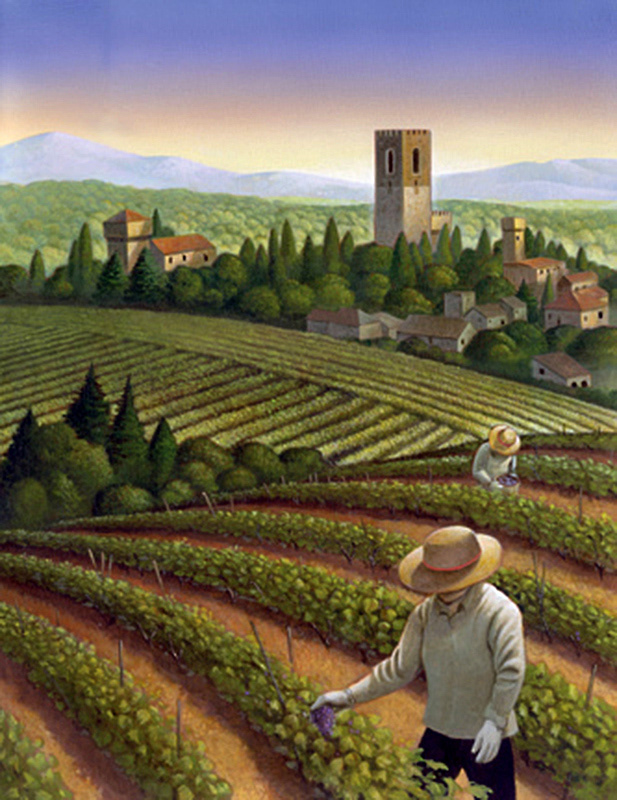 Landscape  Illustration  Wine labels  mystery