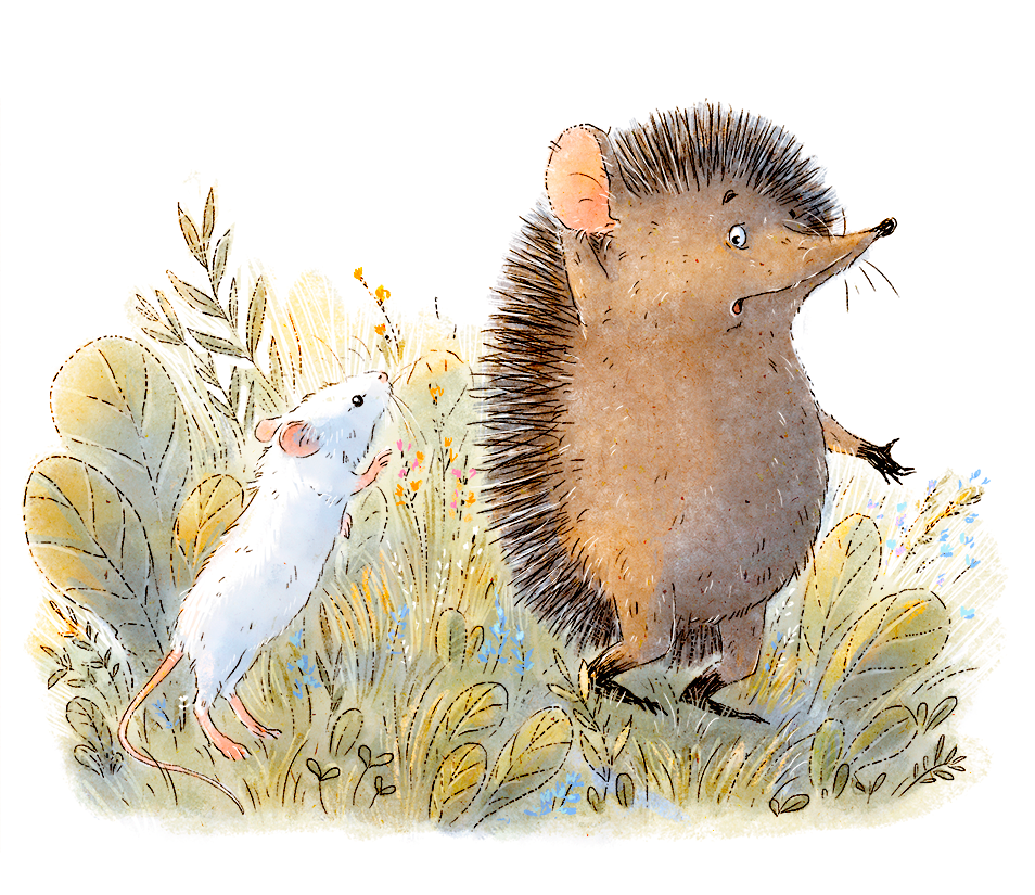 children's book children illustration book ILLUSTRATION  Hedgehog animals cute fairytale children Character