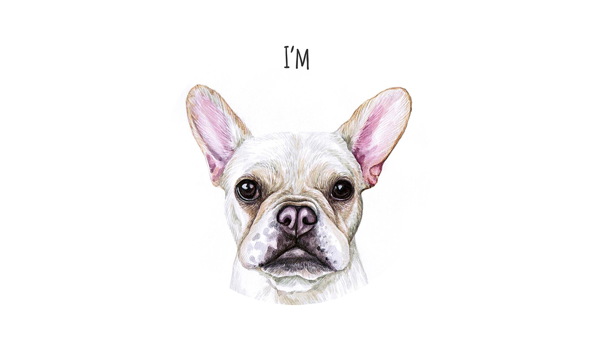 sketch watercolor dog dogs Frenchie bulldog funny draw Pet animal design