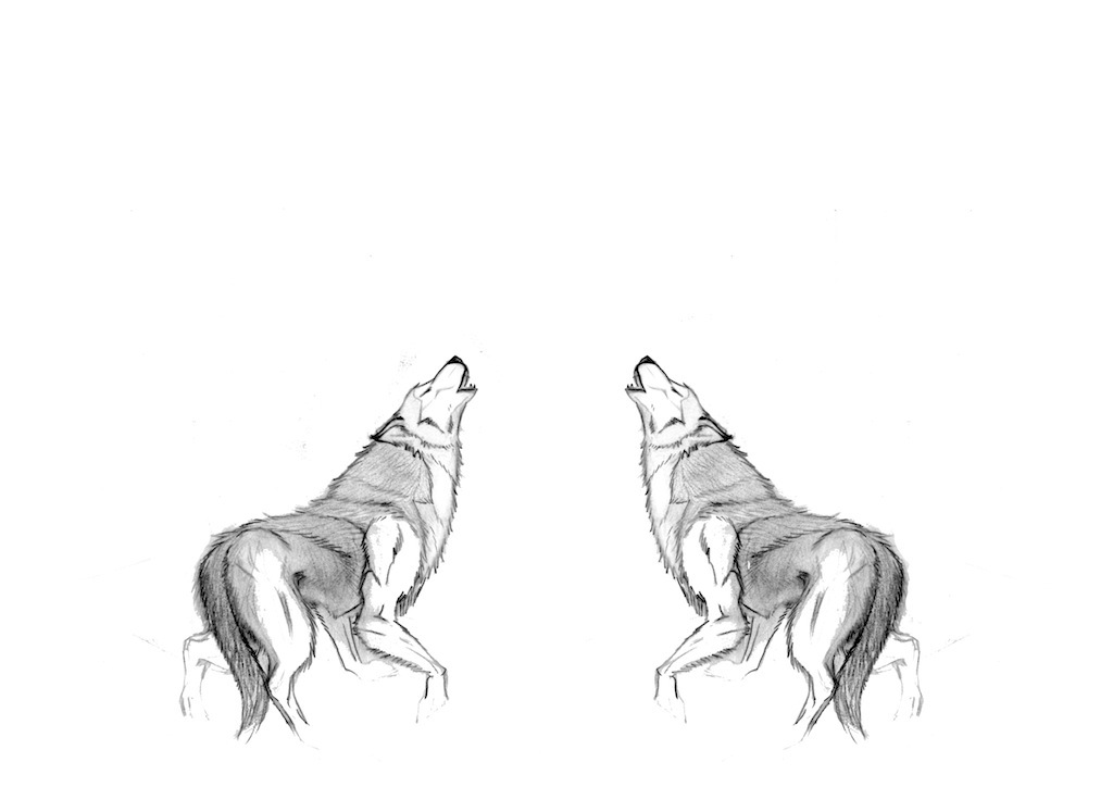 wolf wolves howling chakra howl throat vishuddha Dreamcatcher
