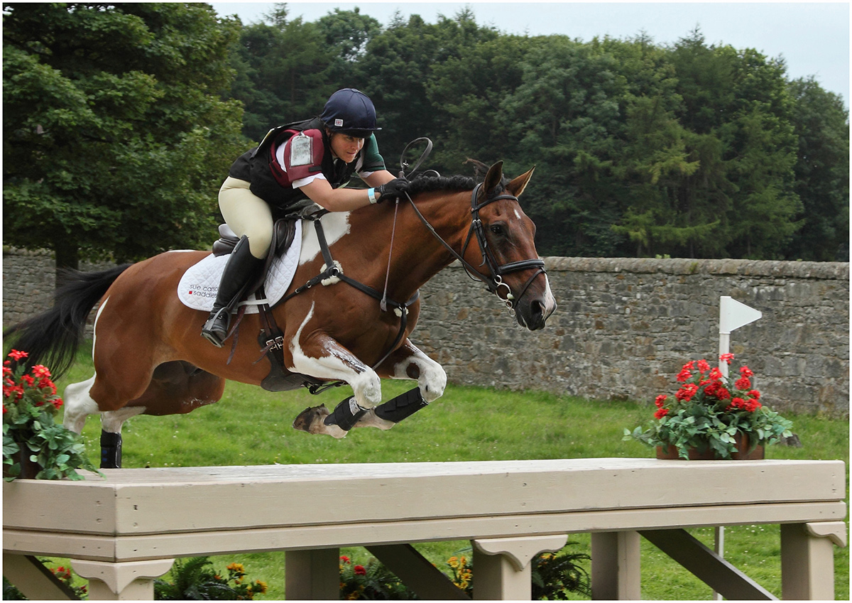 horse horses horse trials cross country Show jumping Hopetoun riders