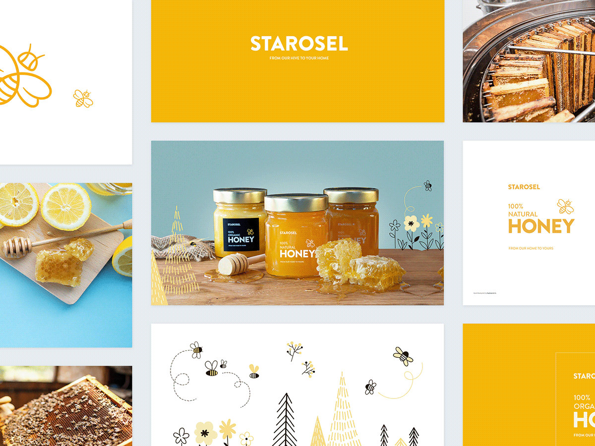 branding  cute Food  honey ILLUSTRATION  logo Packaging Photography  products yellow