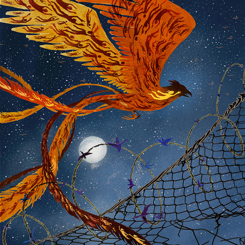 ILLUSTRATION  refugee Phoenix bird migration painting   art Digital Art  photoshop fire