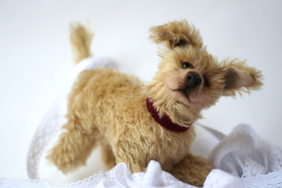 dog puppy Teddy toy Character cute