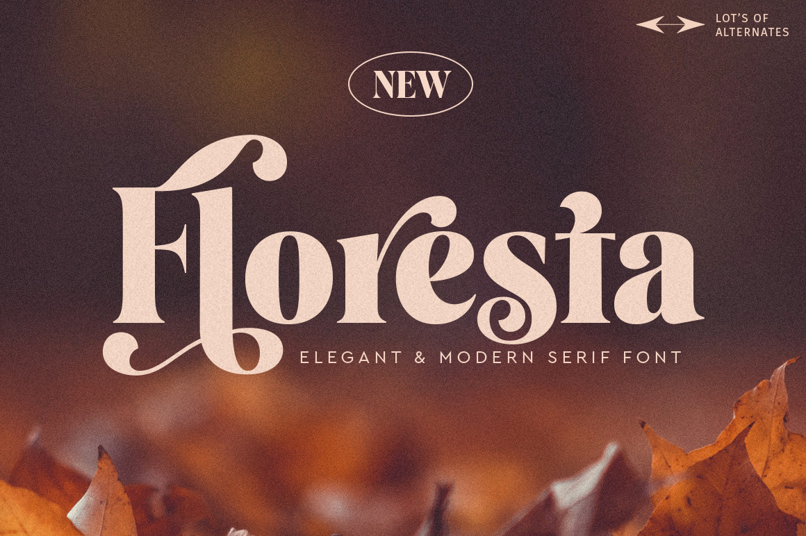 branding  design Display elegant font graphic design  logo font modern display packinging Serif Font
