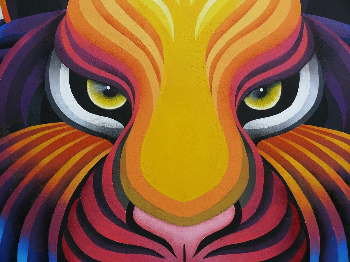 DiegoArtes - Pintura tigre 3D na parede😁😁 ❤️👉Instagram👇👇   Seguem lá pessoal,e veja outros  trabalhos😉🥰 #3D #Pintura3D #tigre #artesanato #artes #pintar #desenhar