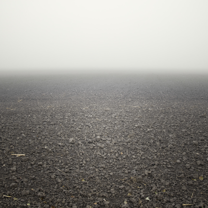 field brown grey fog