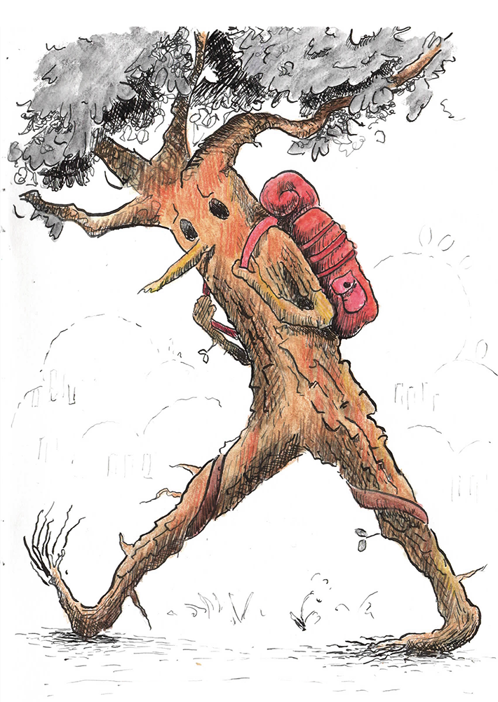 ILLUSTRATION  Tree  Nature wander backpack migrate watercolor ink colored pencil cartoon