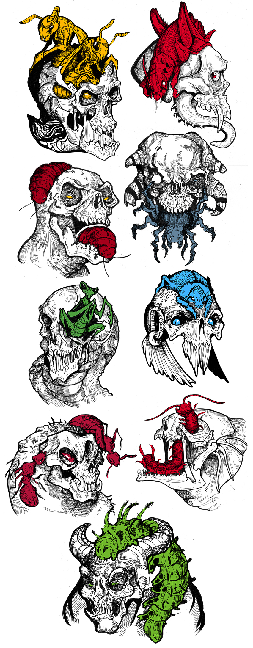 skull Insects moth dead headshot lineart doodles creature