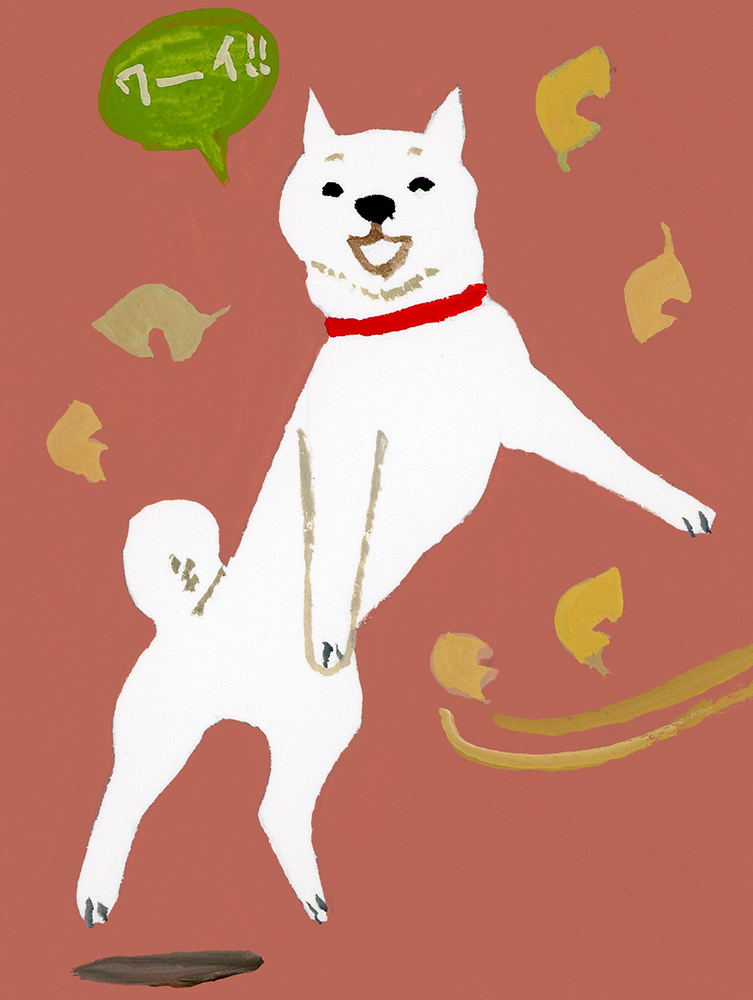 dog landscpe japan tokyo fukui hiroyukiizutsu
