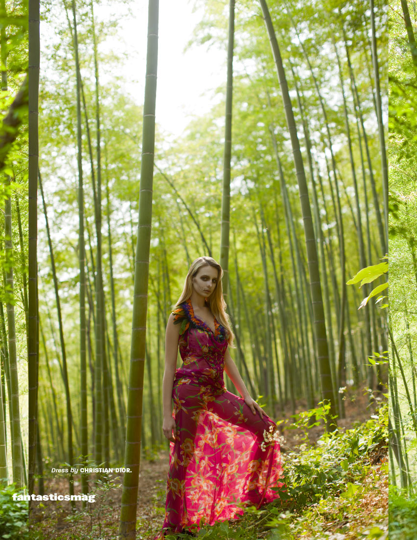 editorial shanghai forest Todd