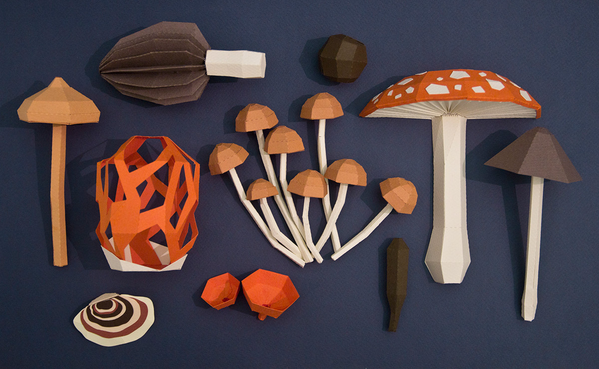 Fungi paper papercraft hongos mushroom amanita muscaria morchella setas lowpoly