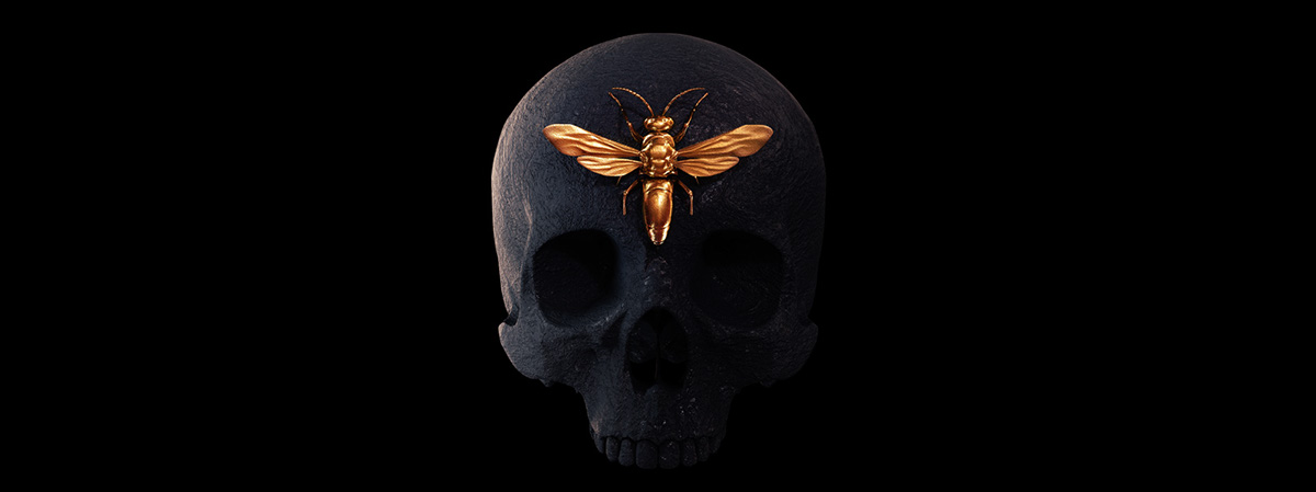 billelis entomology engraved insect taxidermy Tattoo Art tattoo skull Skull art print