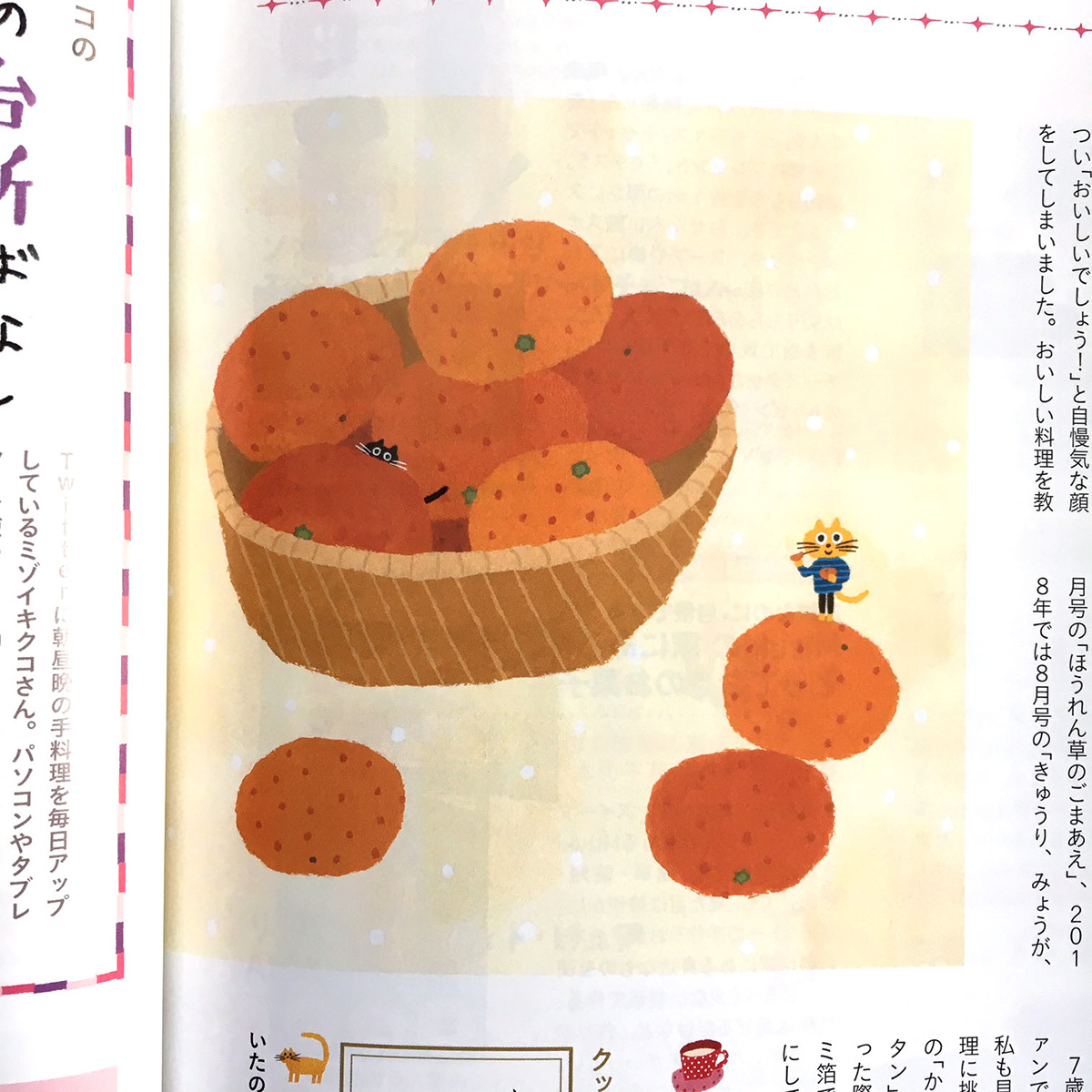 cooking magazine Cat season ILLUSTRATION  kaori seno spring summer autumn winter