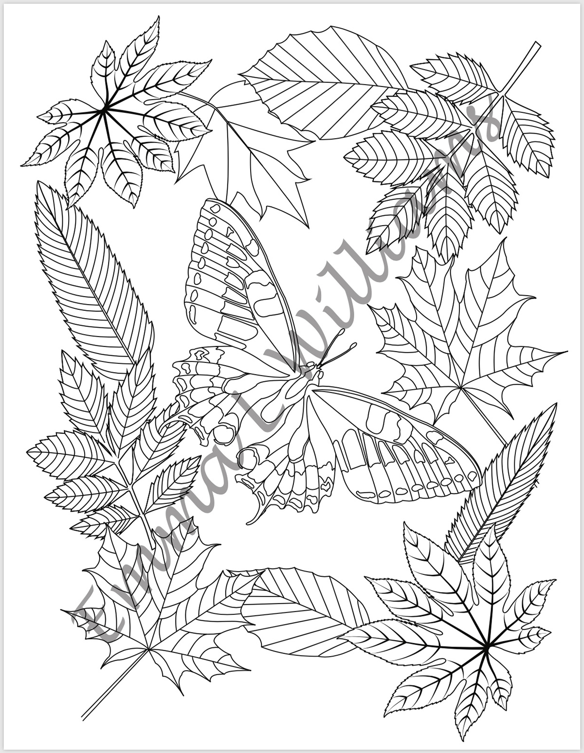 butterfly Nature garden COLOURING adult colouring colouring book Flowers floral black and white design art