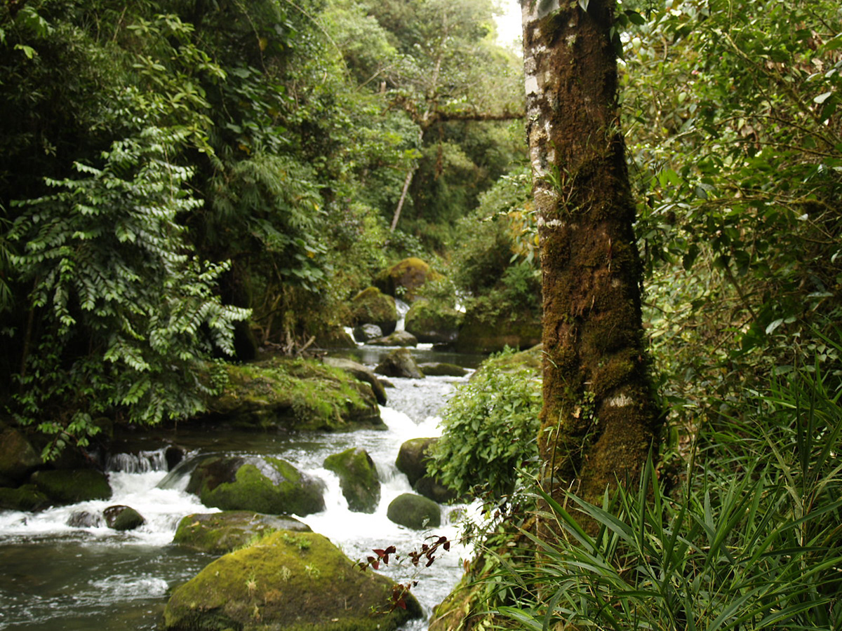 Costa Rica Nature vocano river sea