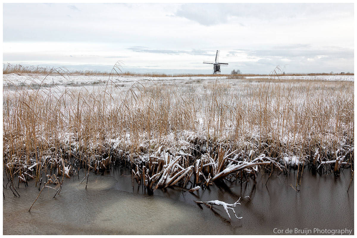 snow windmill SKY winter meadow countryside Landscape Holland Netherlands