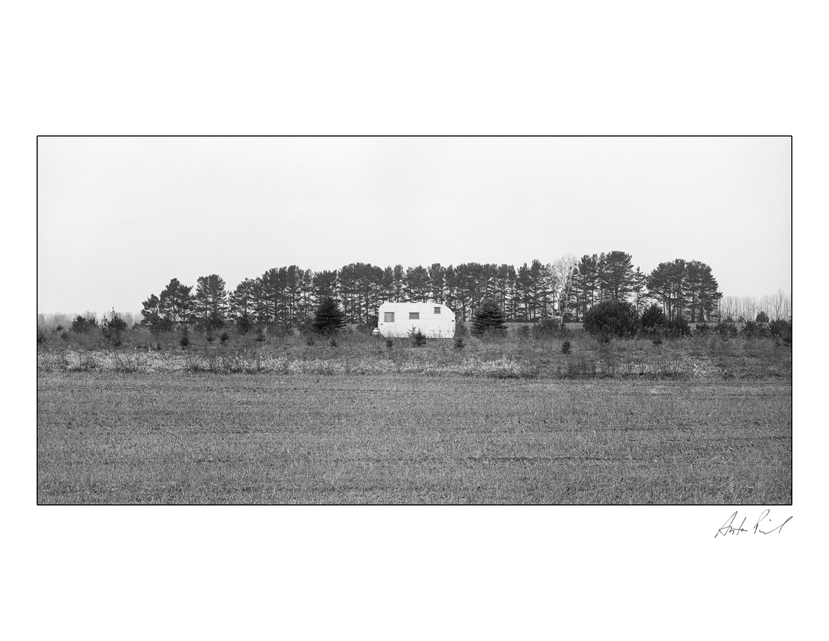 Photography  Film   digital analog Landscape black and white color