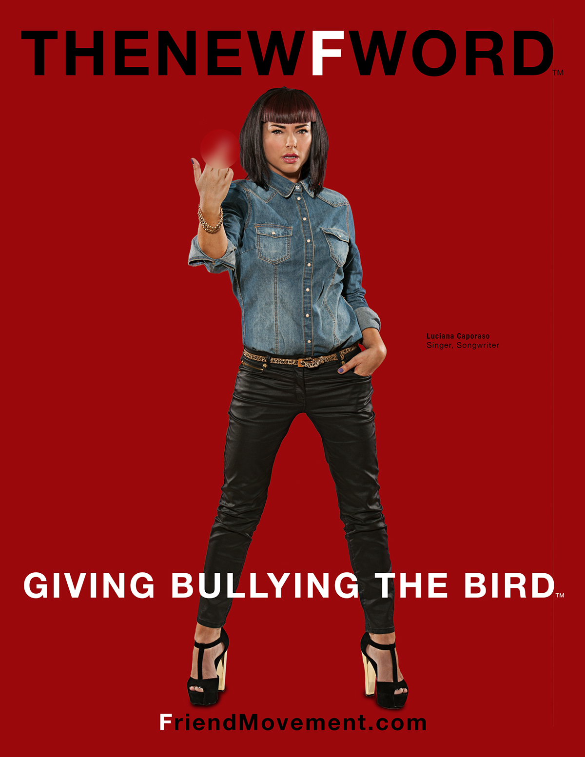 Celebrity non-profit Philanthropy  Ant-bullying