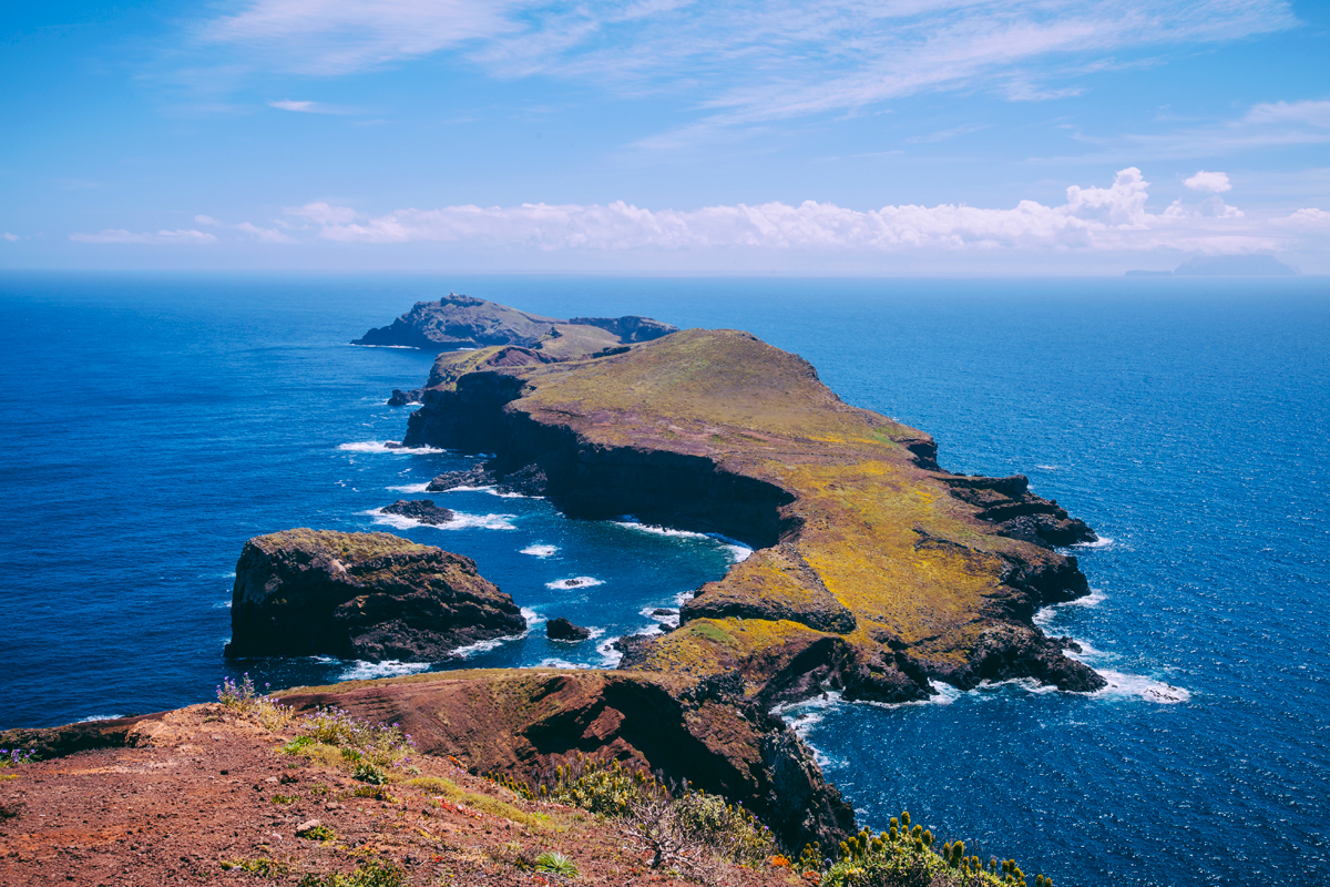 Madeira Island Tropical atlanticocean Portugal portuguese Levada waterfall wildlife Landscape cliffs fish Europe Nature archipelago