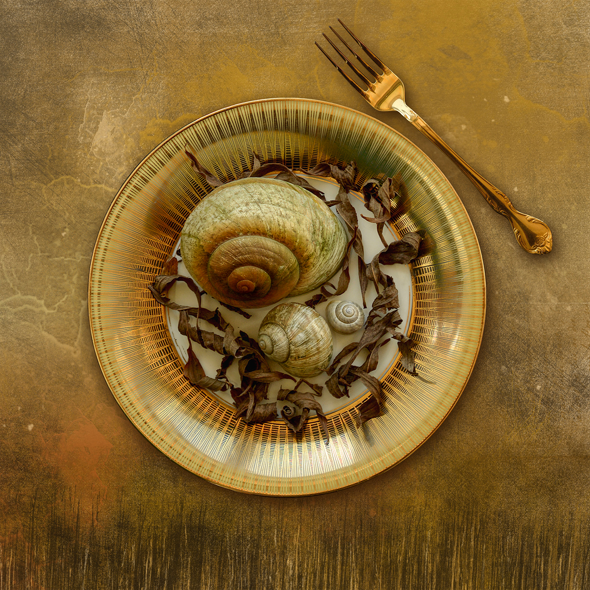 autumn Fall dishes plates crockery fork ladybug mushroom snail pumpkin