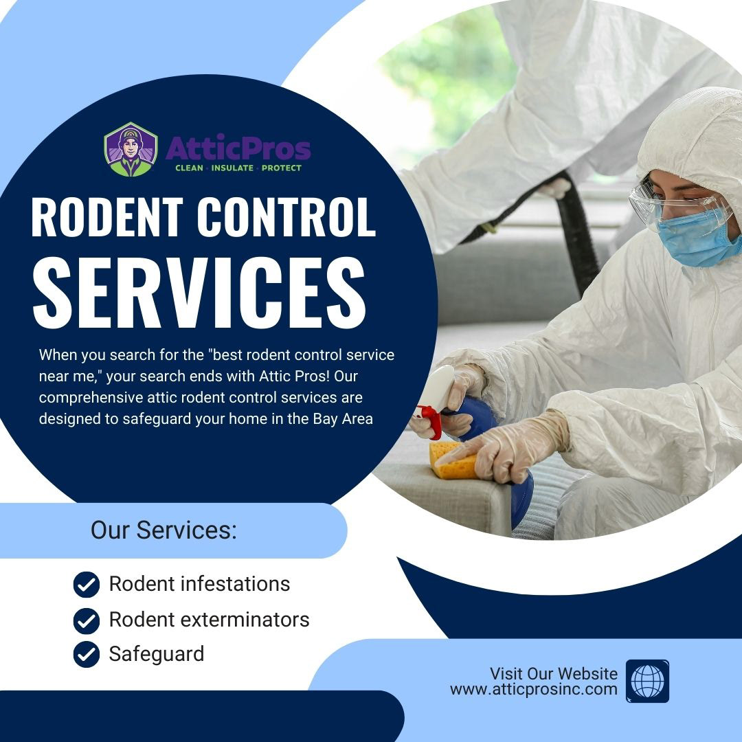 rodent control services