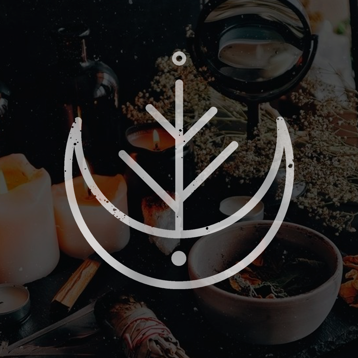 graphic design  logo Logo Design tea herbs witch green