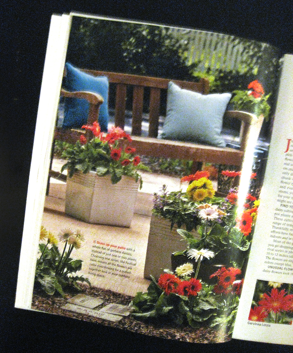 magazine bench props daisy containers garden Patio