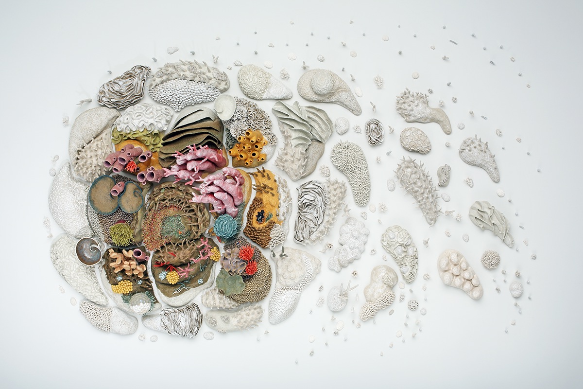 Courtney Mattison Tang Museum skidmore college Our Changing Seas ceramic sculpture sculpture ceramics  ocean conservation coral reef ocean art SciArt ArtScience  installation cyclone climate change