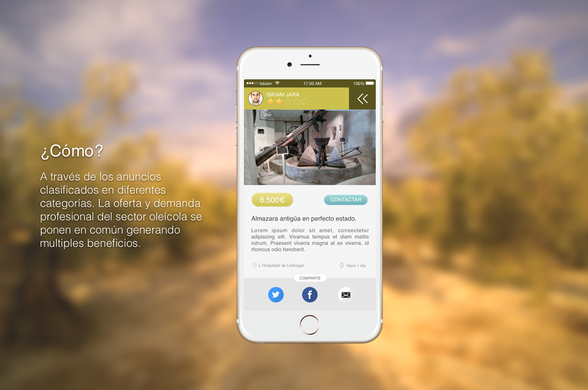 app olive green brand Interface mobile design oil UI ux application Webdesign ios iphone