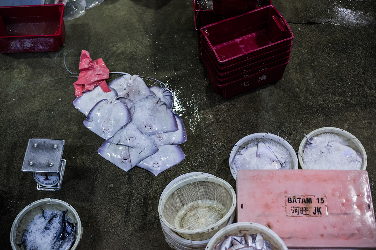 dead death market raw food fish fishes jurong singapore Singapore Market