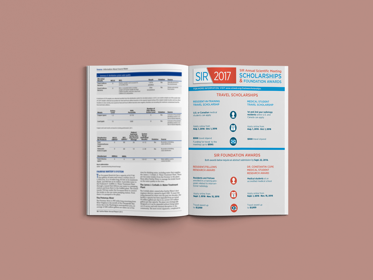 data visualization infographics table Inforgraphic ILLUSTRATION  social media print