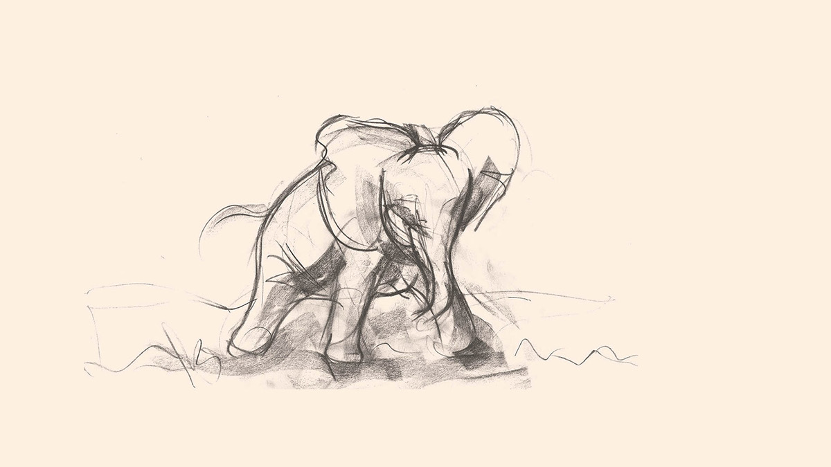 Adobe Portfolio elephant drawings elephant elephant sketches Drawing  sketches baby elephant sketches